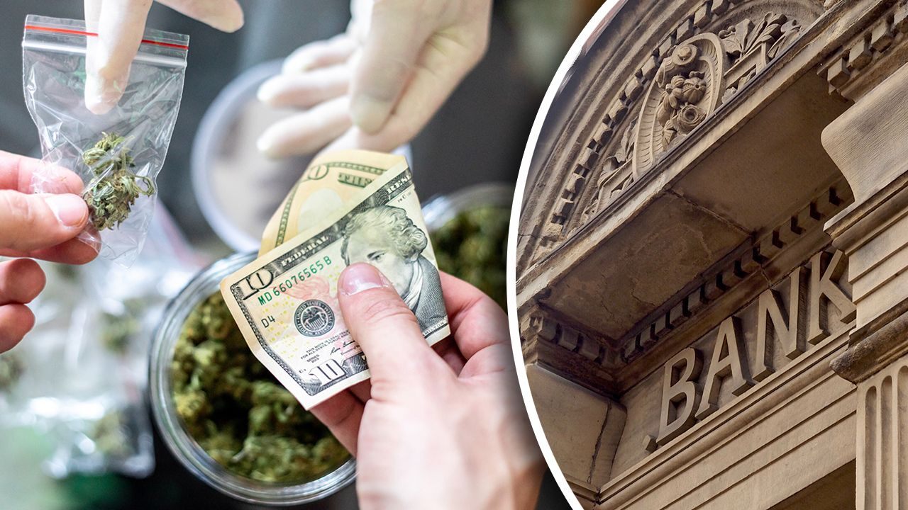 Marijuana 4 Dummies: House Passes Bill To Provide Marijuana Banking & Now We Wait On Senate To Block! (9-30-19)
